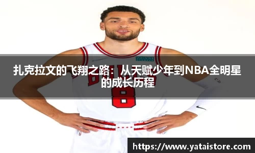 zoty中欧官方网站