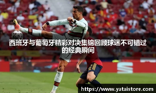 zoty中欧官网