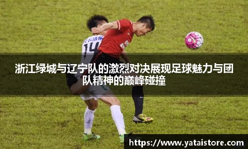 zoty中欧官网